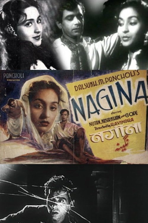 Nagina Poster
