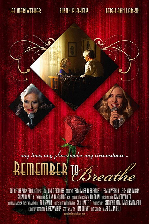 Remember to Breathe Poster