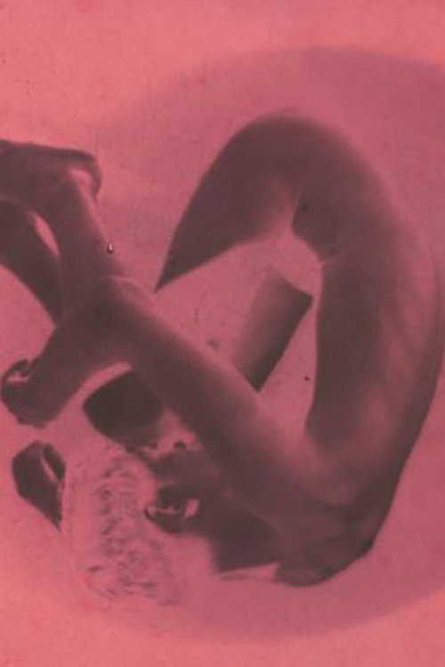 The Skin of a Napping Poster