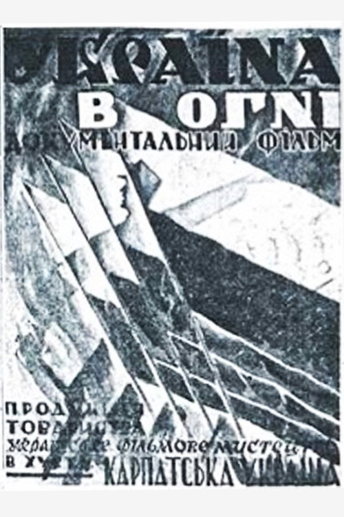 Ukraine On Fire Poster