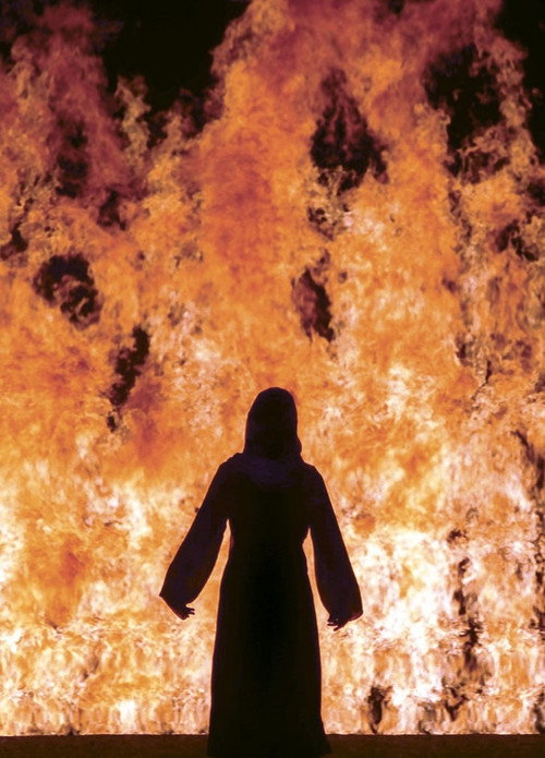 Fire Woman Poster
