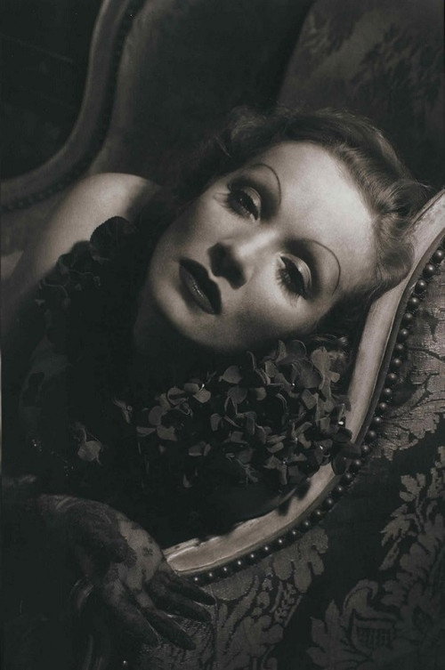 Marlene Dietrich: Shadows and Light Poster