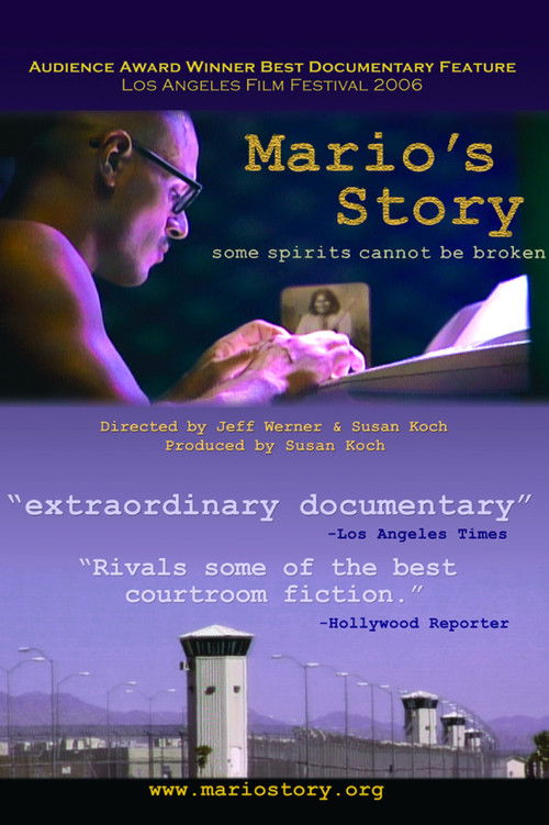 Mario's Story Poster