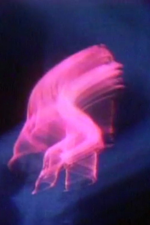 Terminal Self Poster