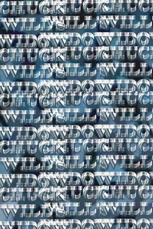 Chuck's Will's Widow Poster