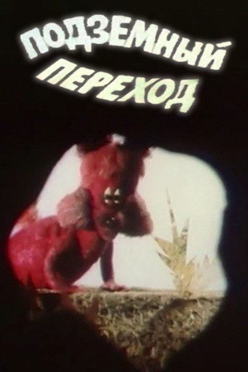 Underground Crossing Poster