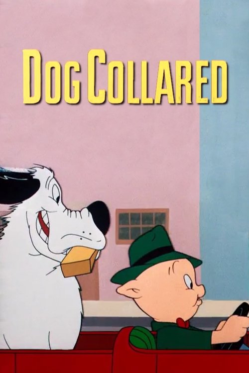 Dog Collared Poster