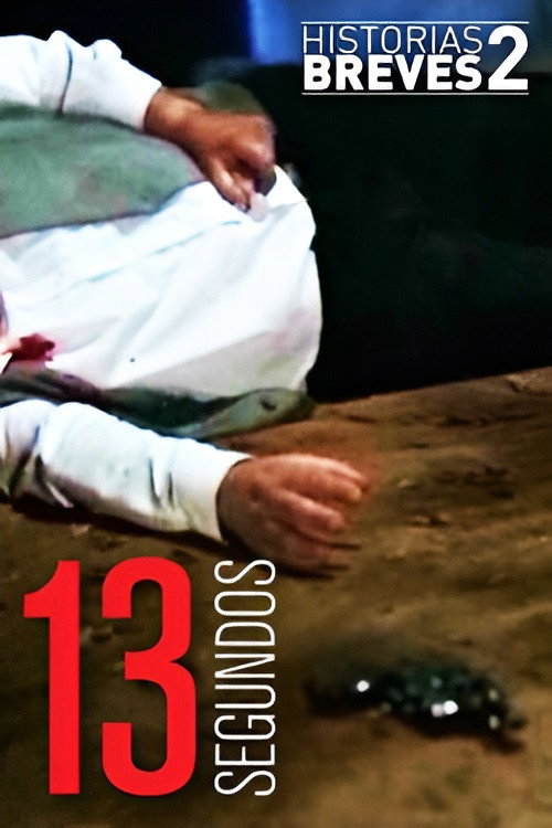 Historias Breves II: Trece Segundos Poster