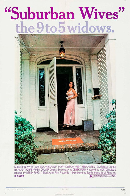 Suburban Wives Poster