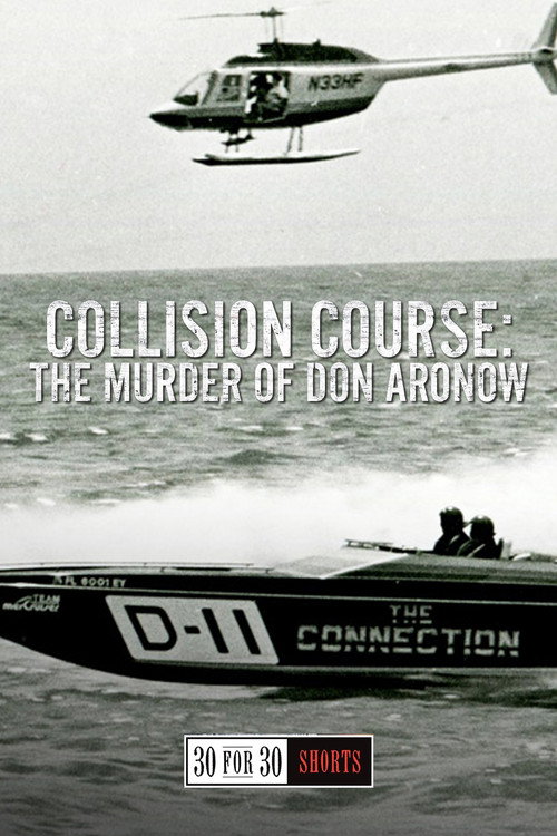 Collision Course: The Murder of Don Aronow Poster