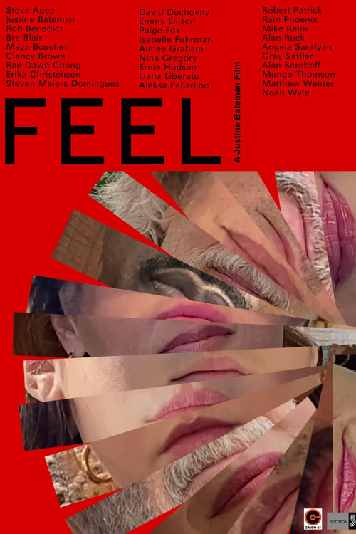 FEEL Poster