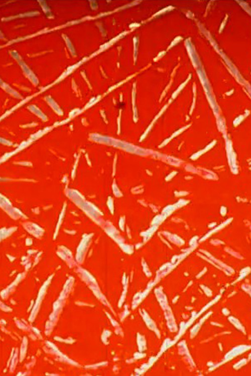 Suite Poursuite Poster