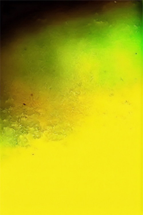 Translation Series Poster