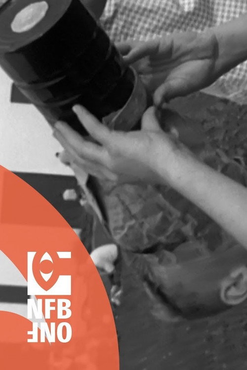 Eclipse at Grand'Mère Poster