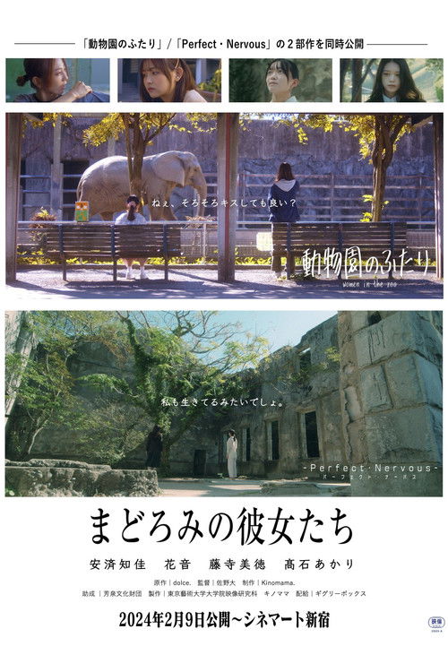 Women in The Zoo Poster