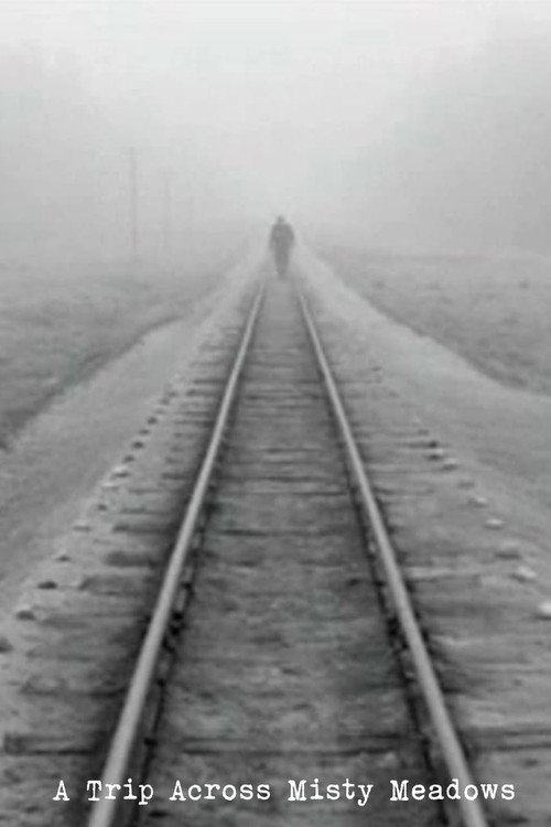 A Trip Across Misty Meadows Poster