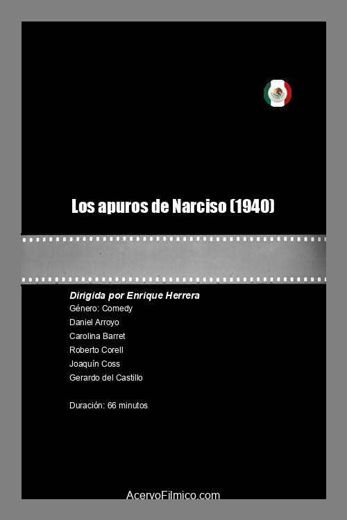 Los apuros de Narciso Poster