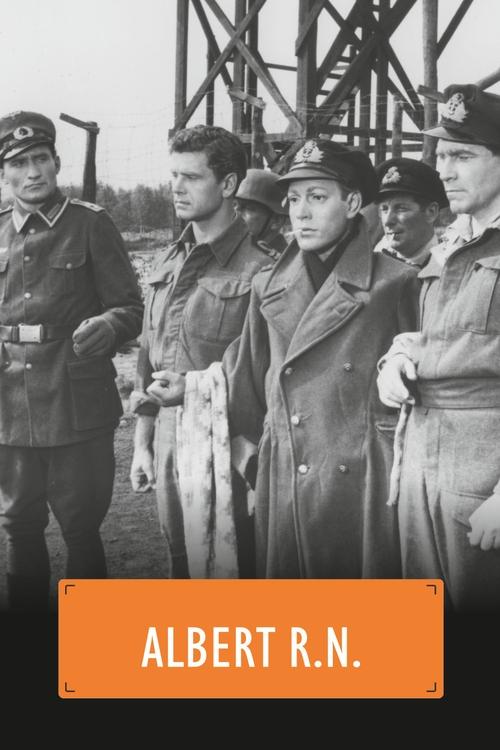 Albert R.N. Poster