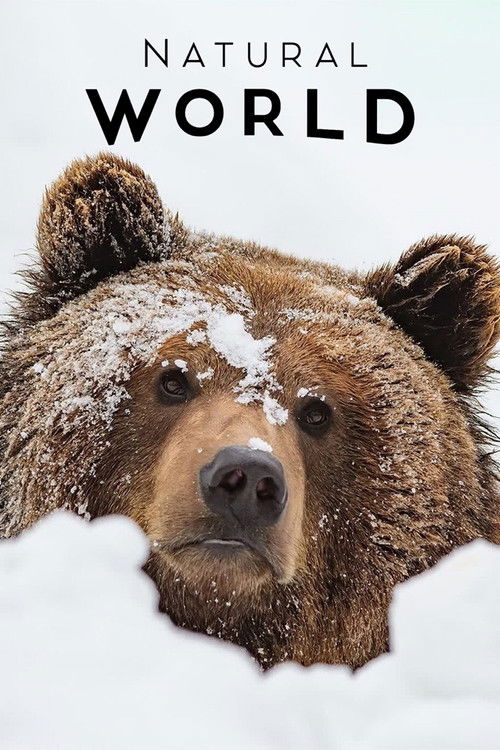 France: The Wild Side Poster