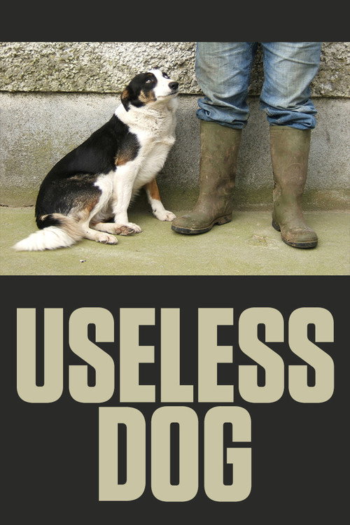 Useless Dog Poster