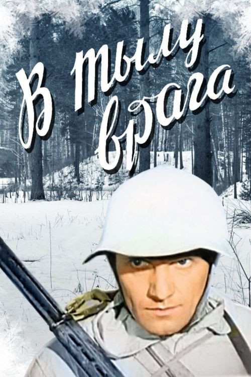В тылу врага Poster