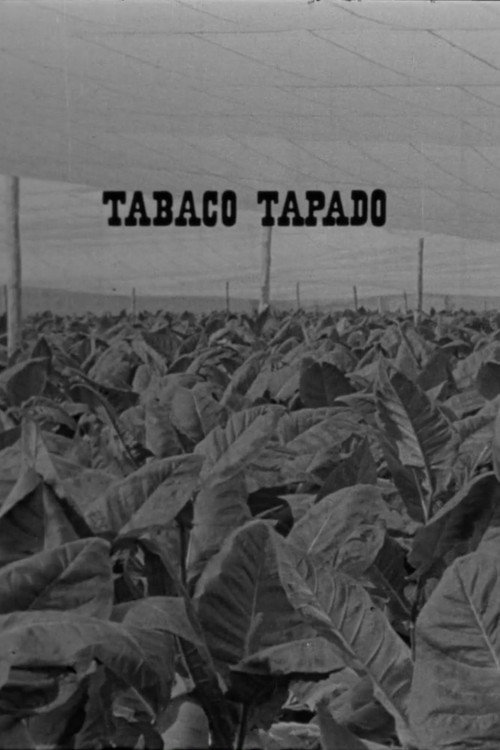 Tabaco tapado Poster
