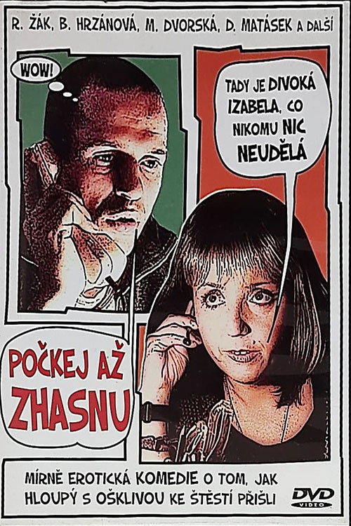 Počkej, až zhasnu Poster