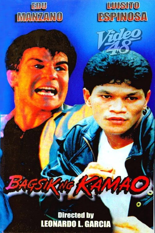 Bagsik ng kamao Poster