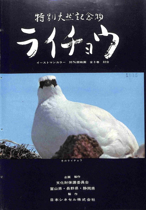 Tokubetsu tennen kinenbutsu Raicho Poster