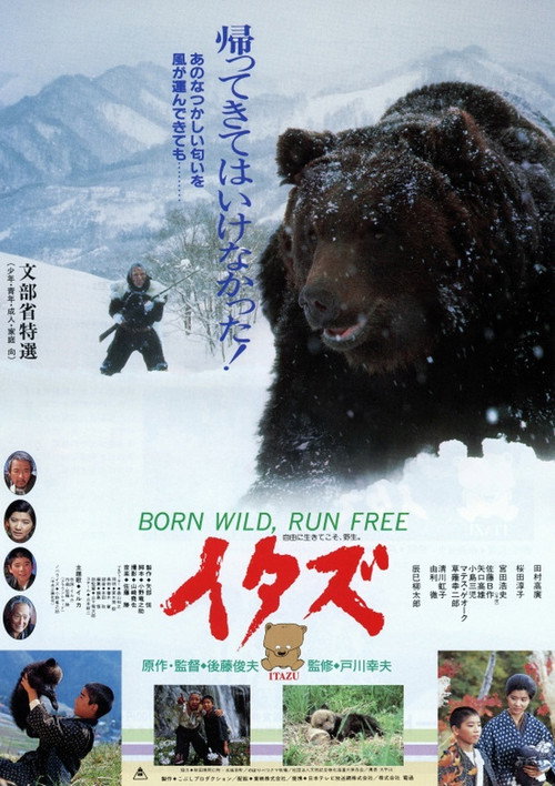 The Forest of the Little Bear Poster