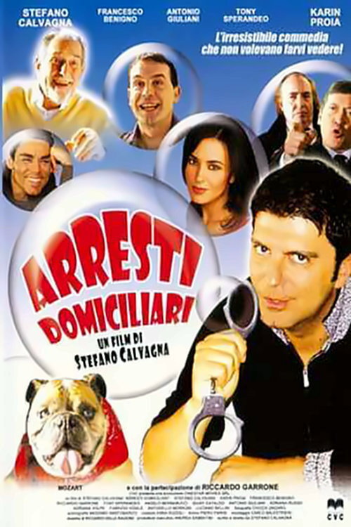 Arresti Domiciliari Poster