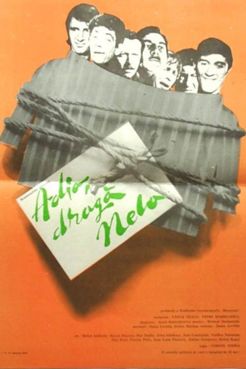 Farewell, Dear Nela! Poster