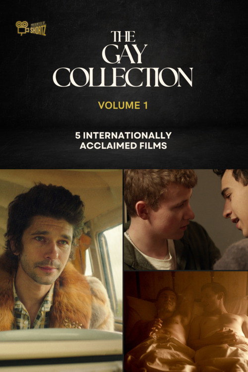The Gay Collection | Volume I | Presented by Shortz! Poster
