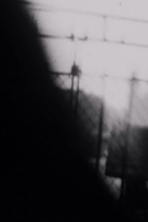 Double Shutter Poster