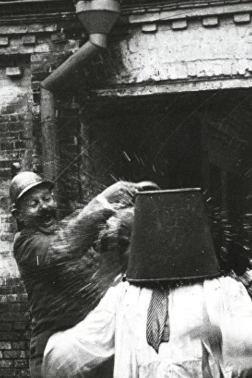 Baldy Is A Cameraman Poster