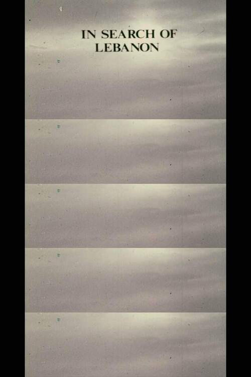 In Search of Lebanon Poster