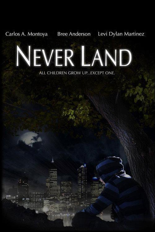 Never Land Poster