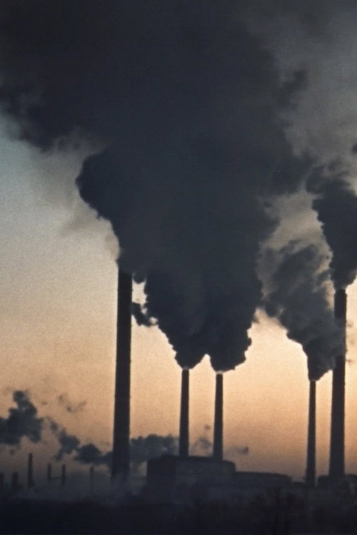 The Miser Pays Twice Poster