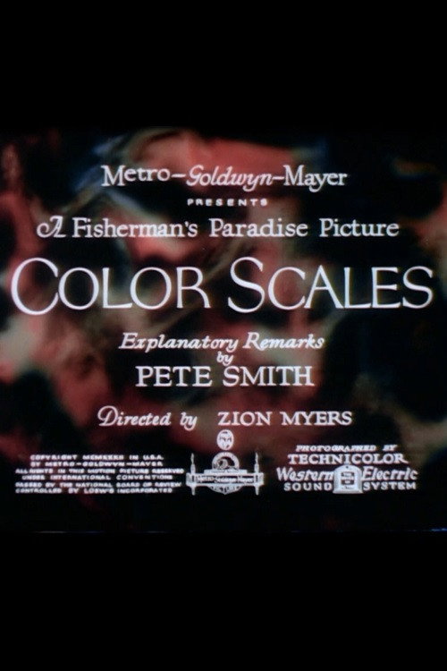 Color Scales Poster