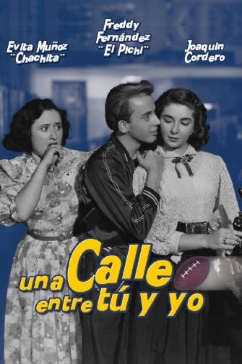 Una calle entre tú y yo Poster