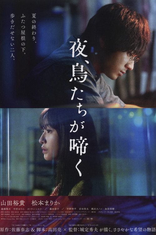 Nighttime Warbles Poster