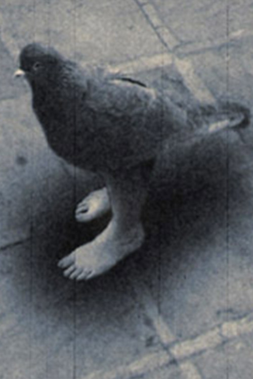 Contamination Poster