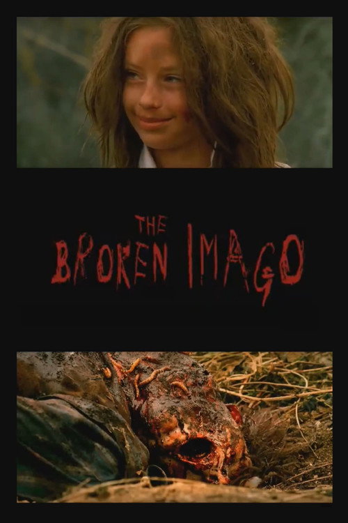 The Broken Imago Poster