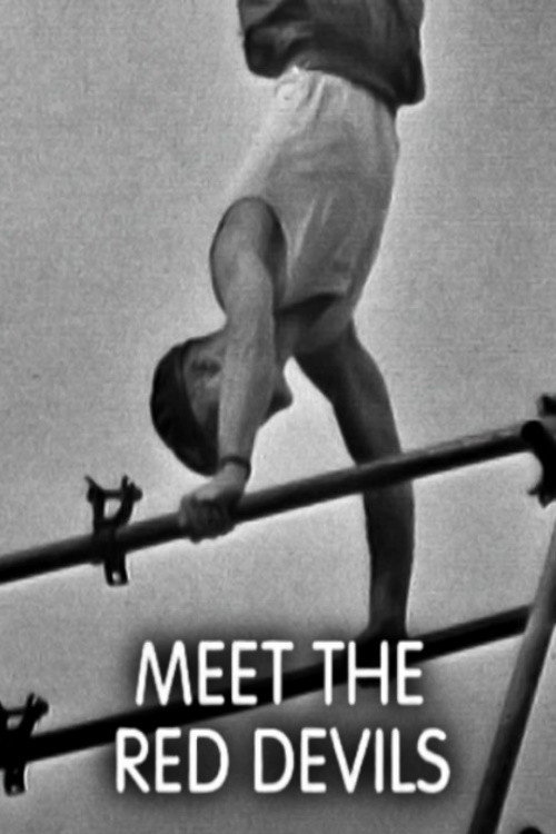 Meet the Red Devils: Parachute Regiment Poster