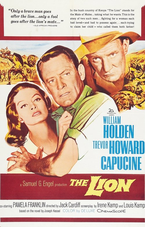 The Lion Poster