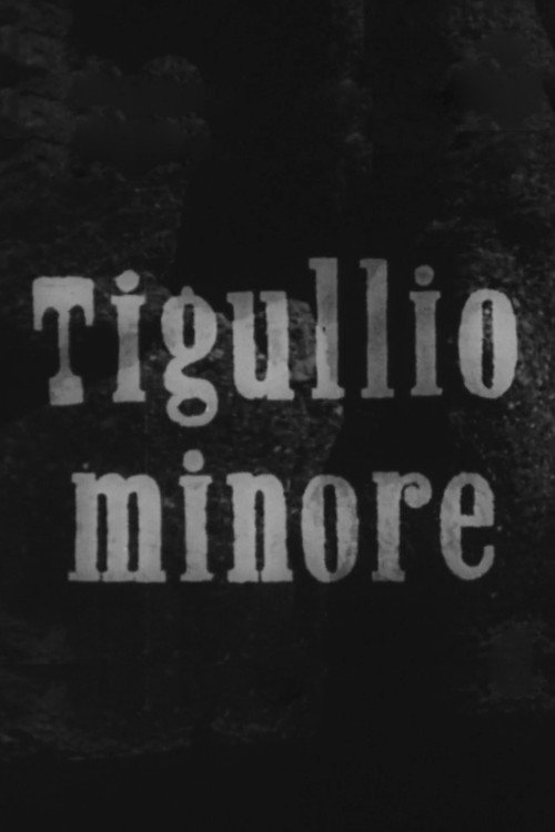 Tigullio minore Poster