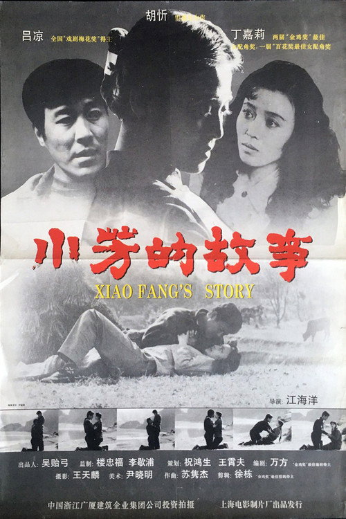 小芳的故事 Poster