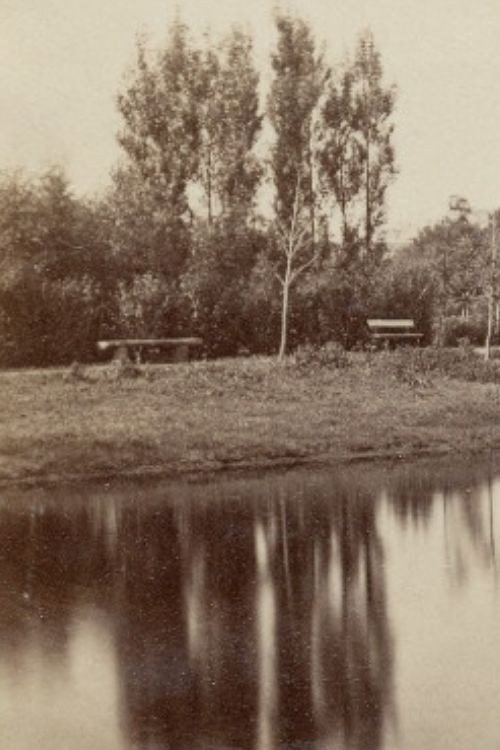 Poëzie in 't Park Poster