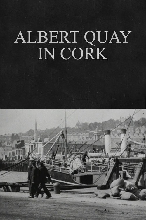 Albert Quay in Cork Poster