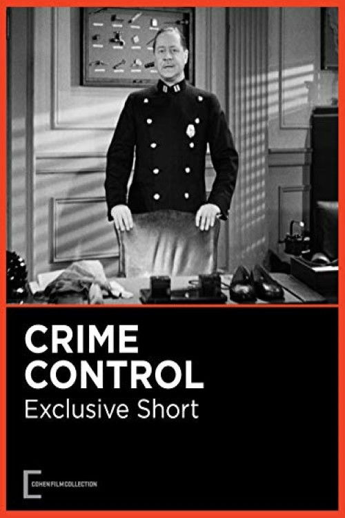 Crime Control Poster